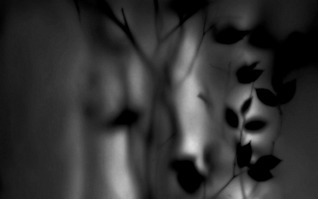 Зелень за стеклом обои