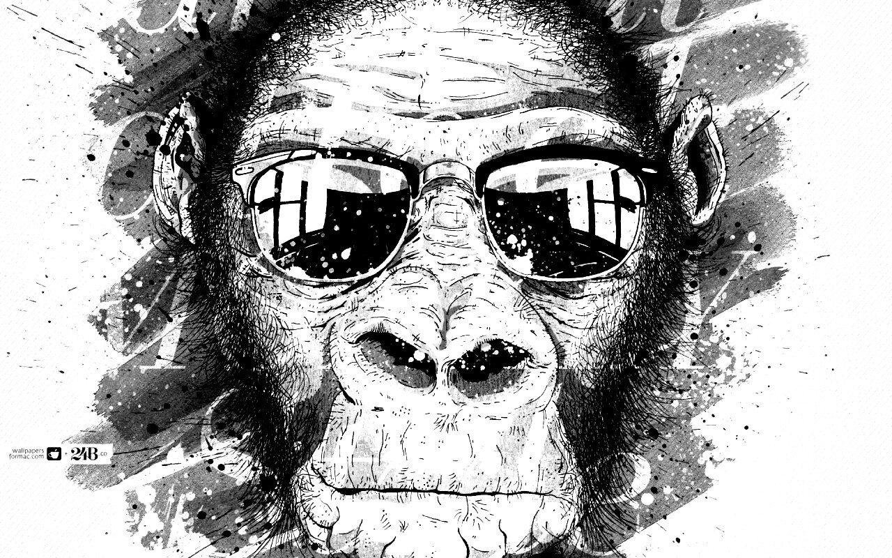 Макака в очках обои