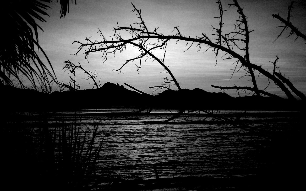 Тропический закат обои