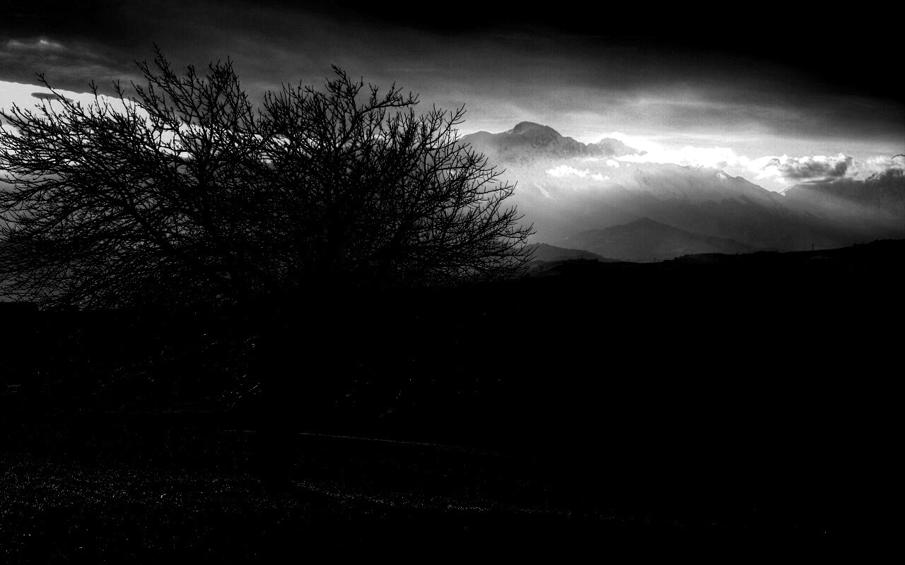 Дерево и горы обои