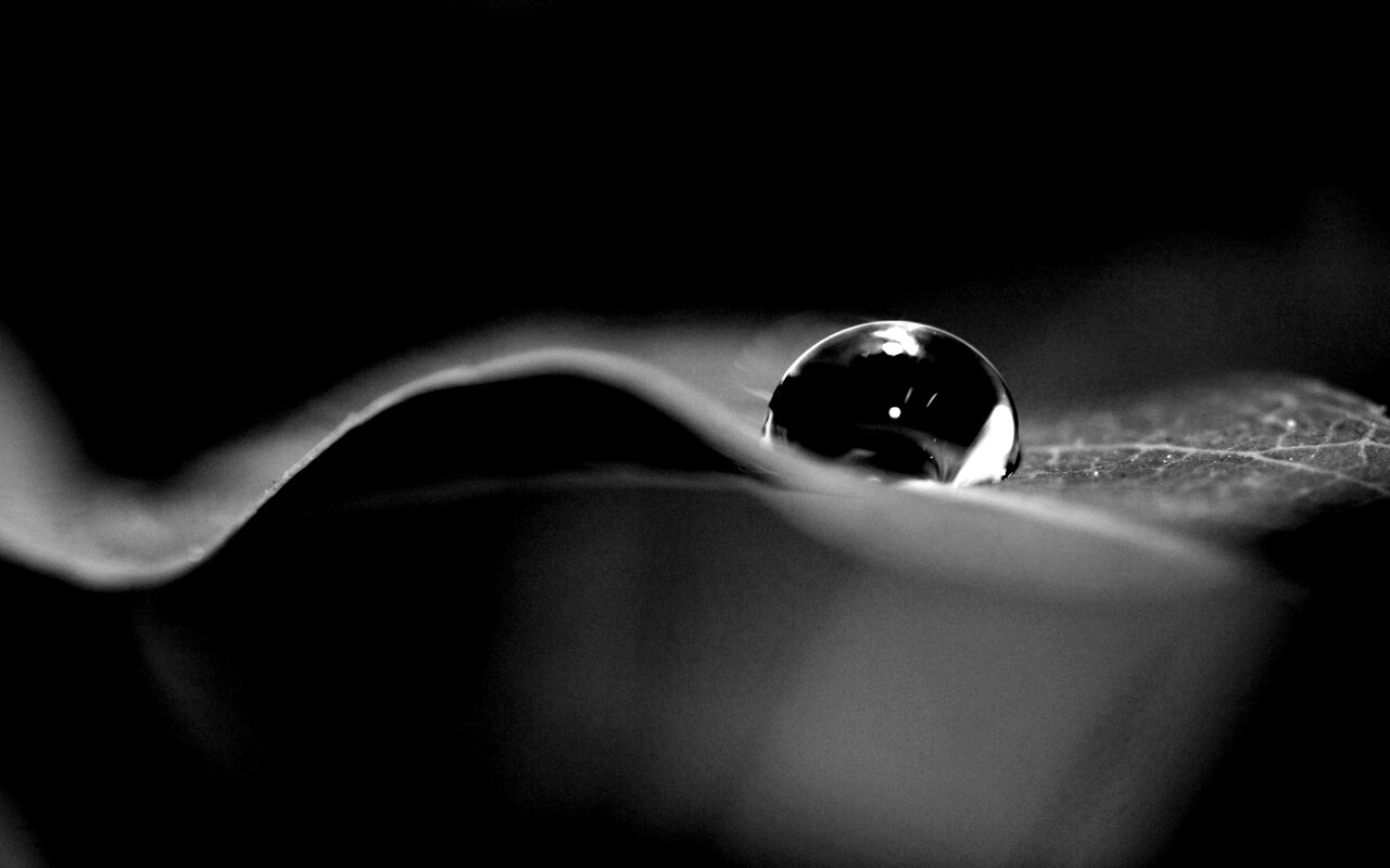 Фотография капли воды в макро обои