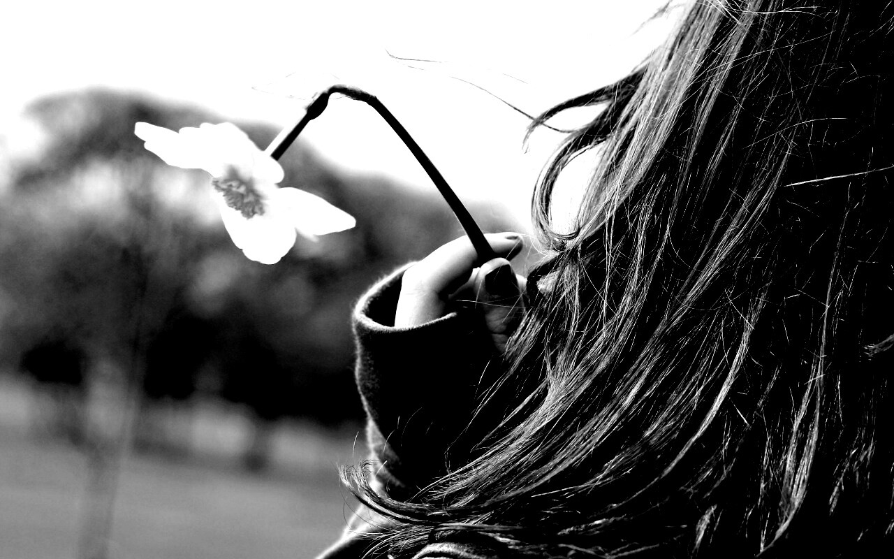 Девушка с нарциссом в руке обои