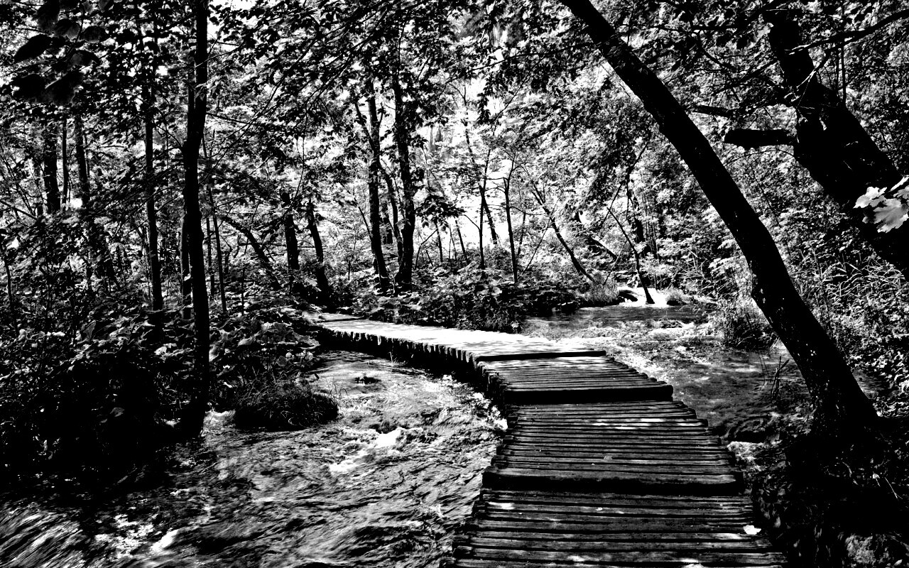 Тропинка над водой обои