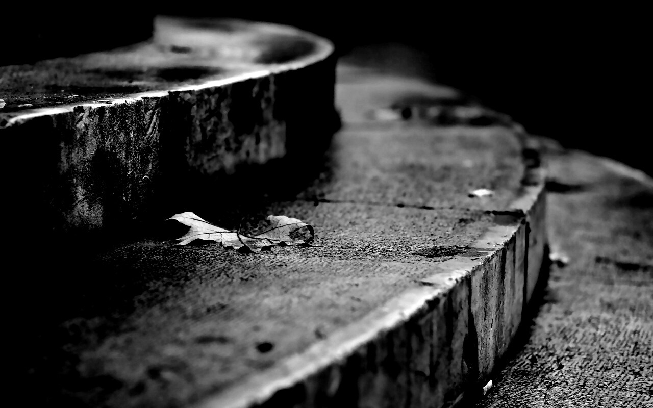 Лист на ступеньках обои