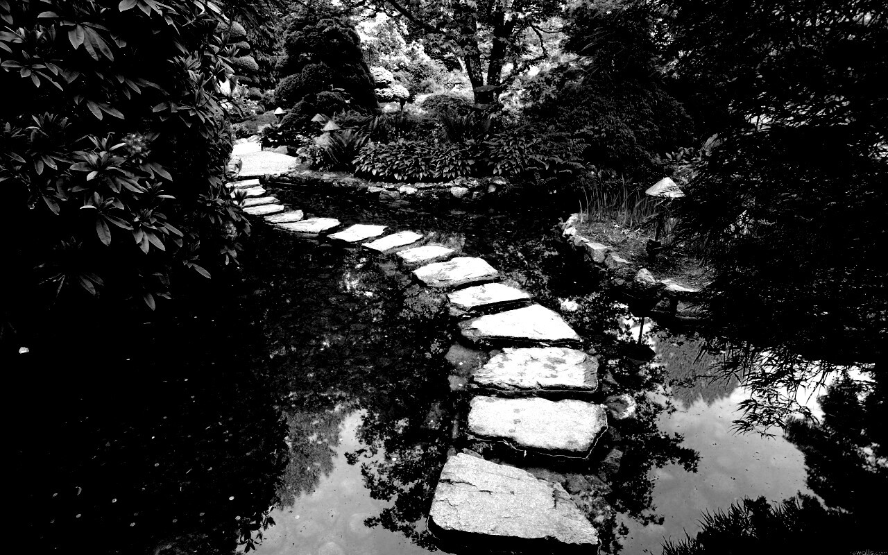 Дорожка через пруд обои