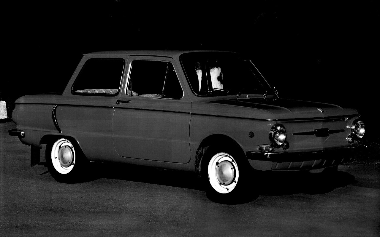 Оранжевый ушастый запорожец обои