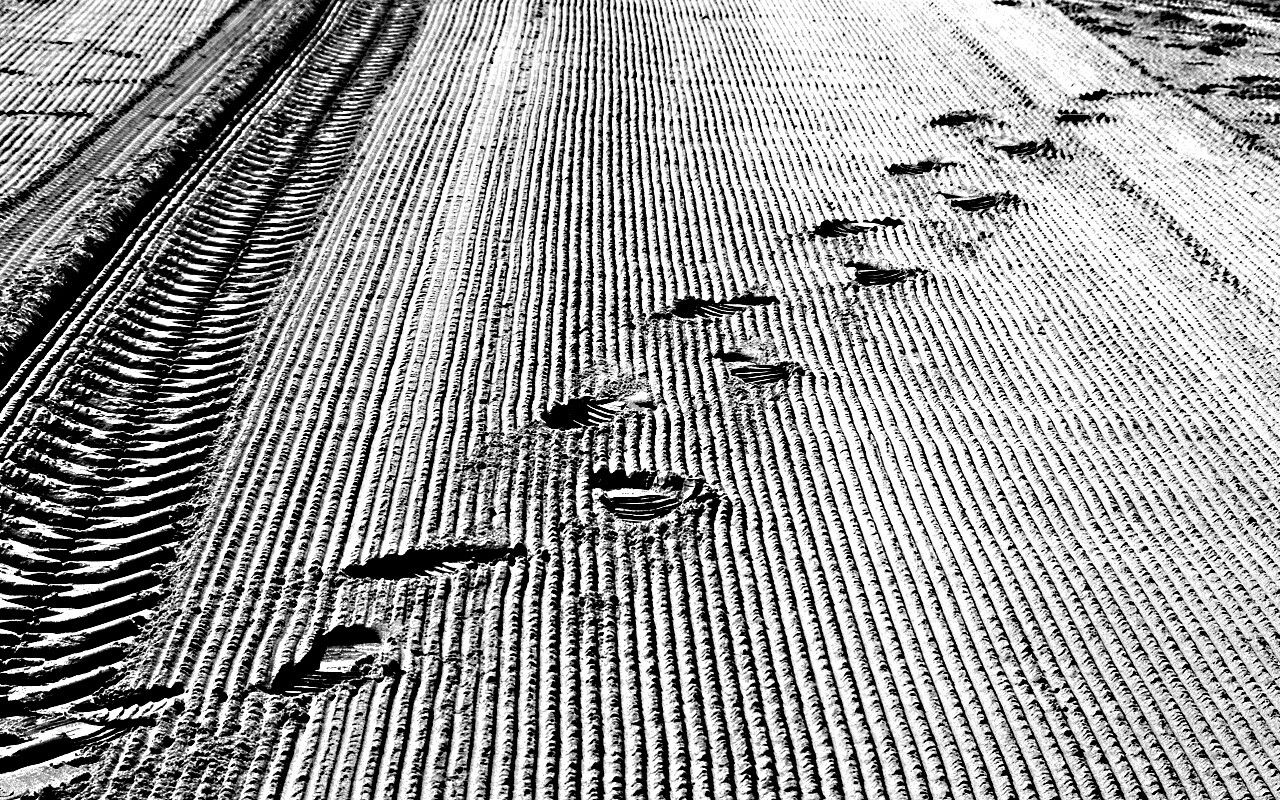 Следы на песке обои