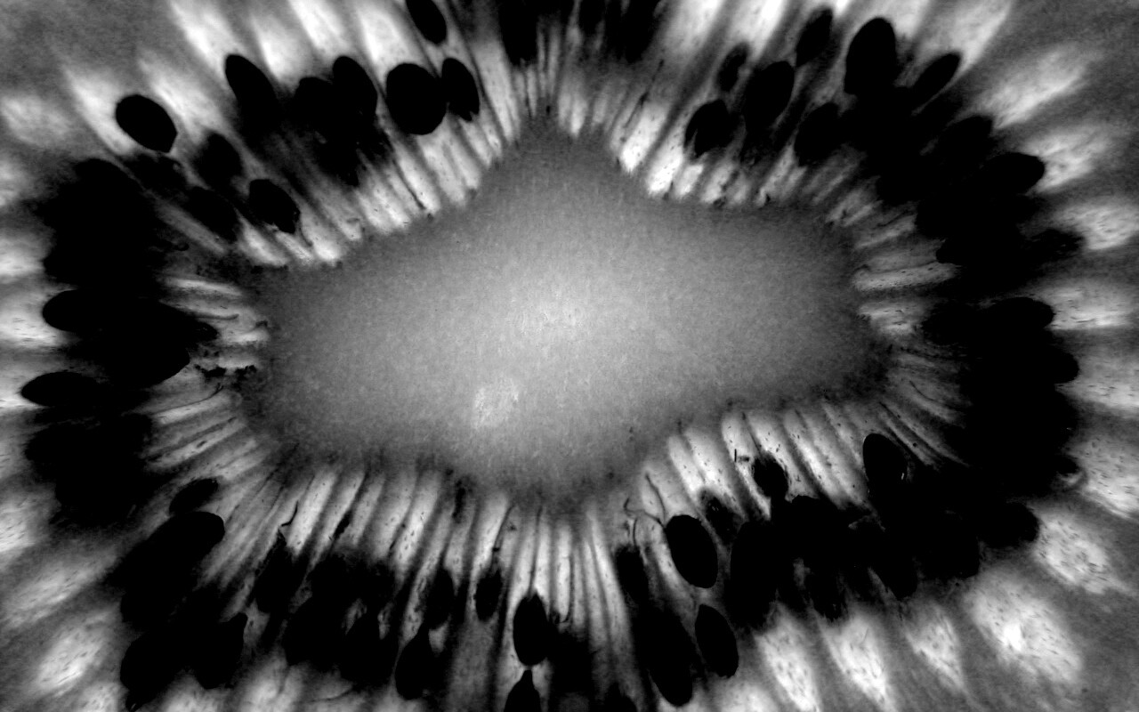 Макро фото киви в разрезе обои