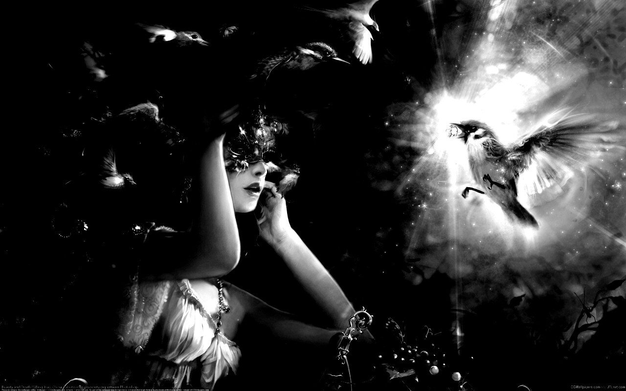 Птицы счастья обои