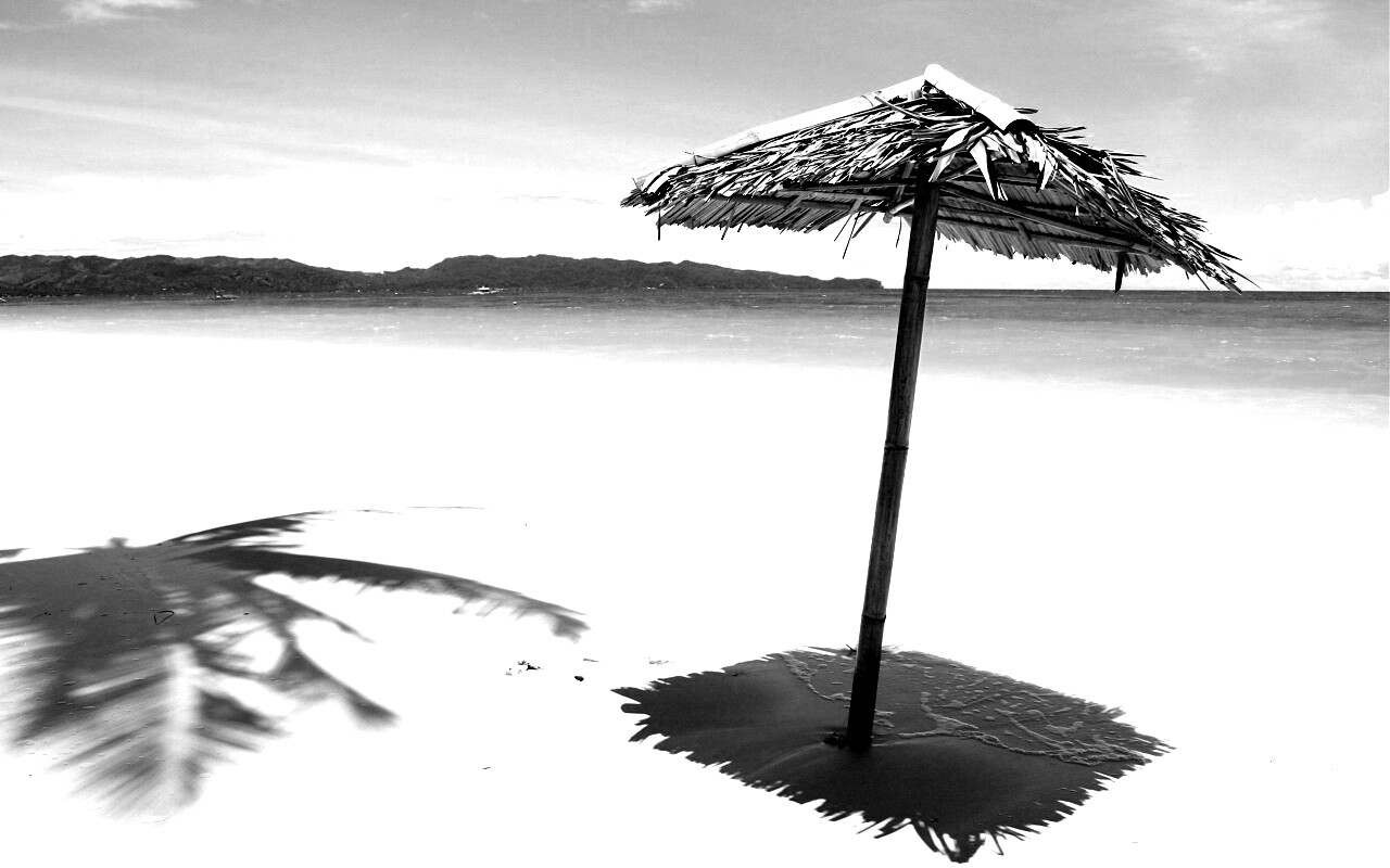 Тросниковый зонт обои