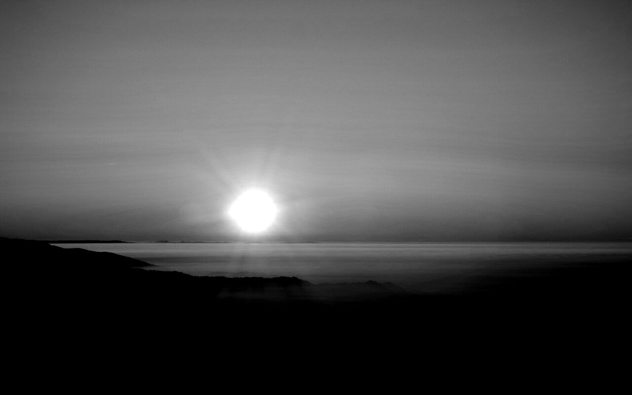 Восход солнца над лесом обои