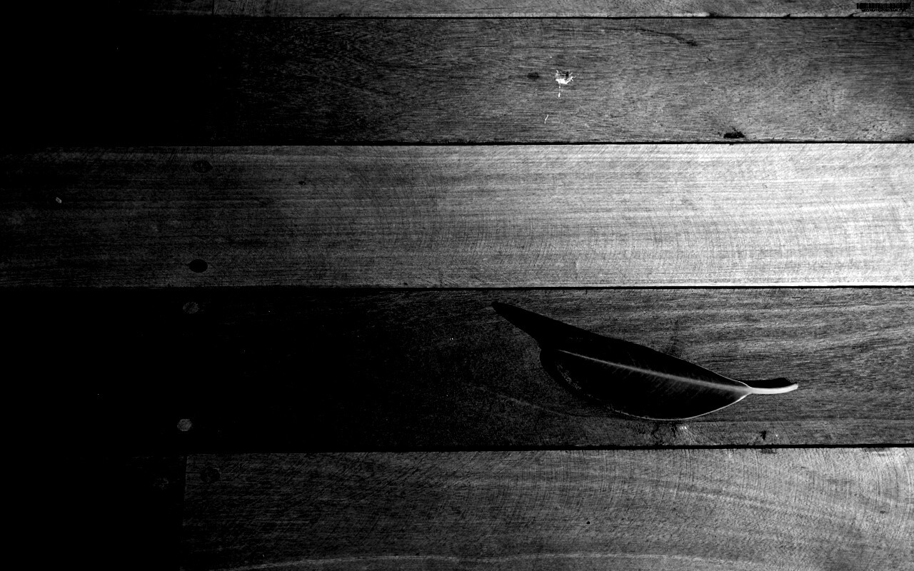 Лист на деревянном полу обои