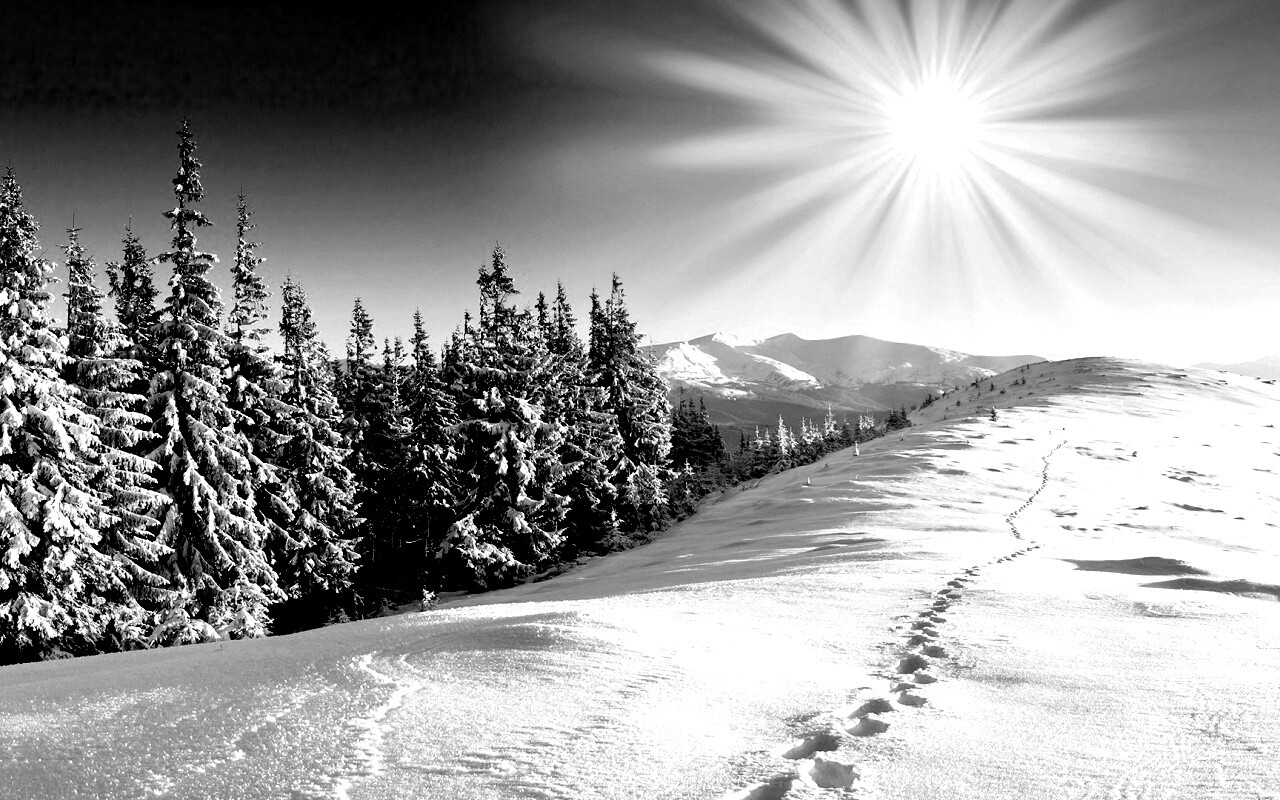 Холодные лучи зимнего солнца обои