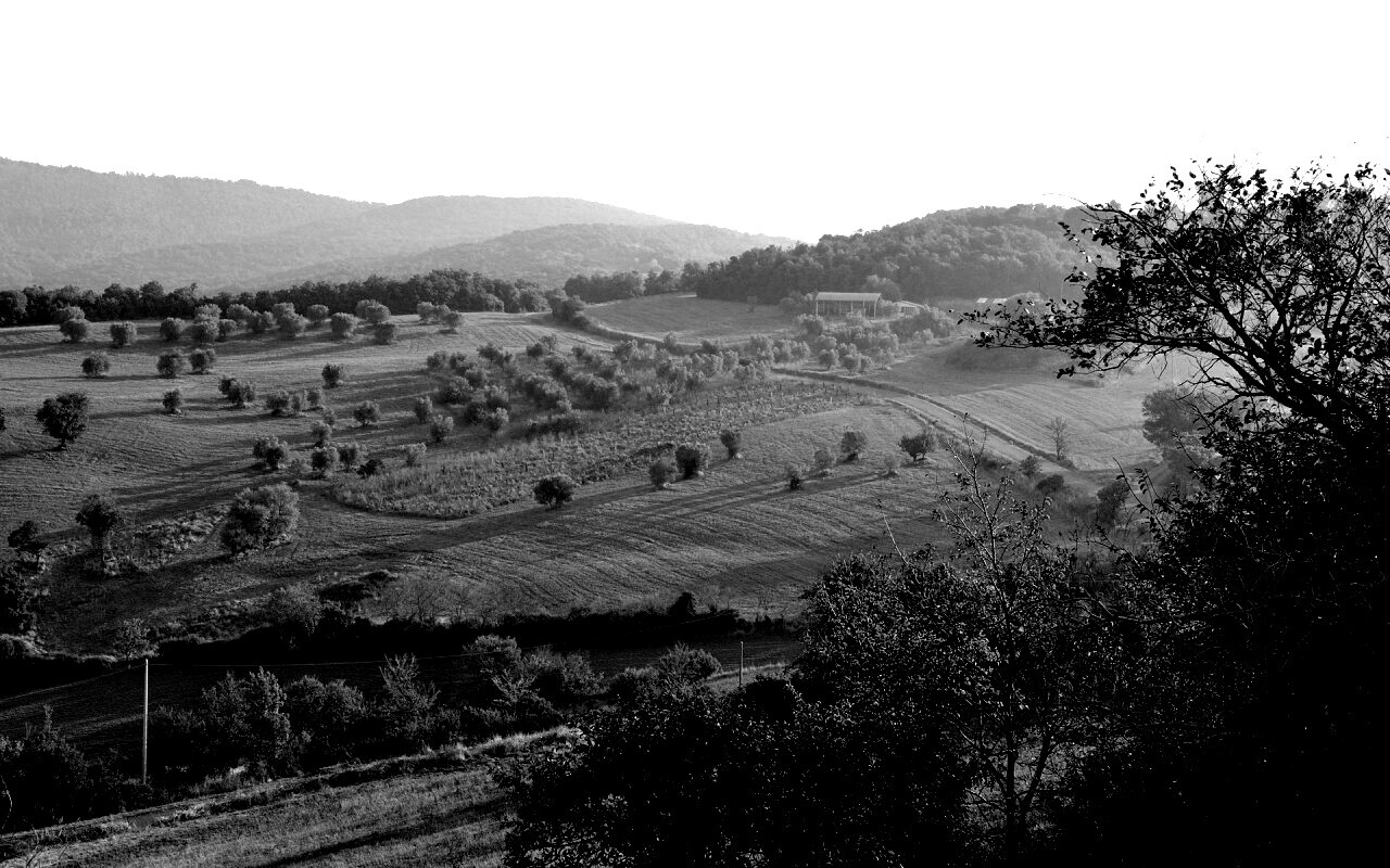 Ферма в долине обои