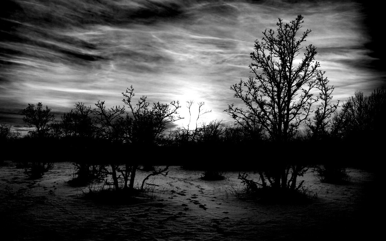 Закат в зимнем лесу обои