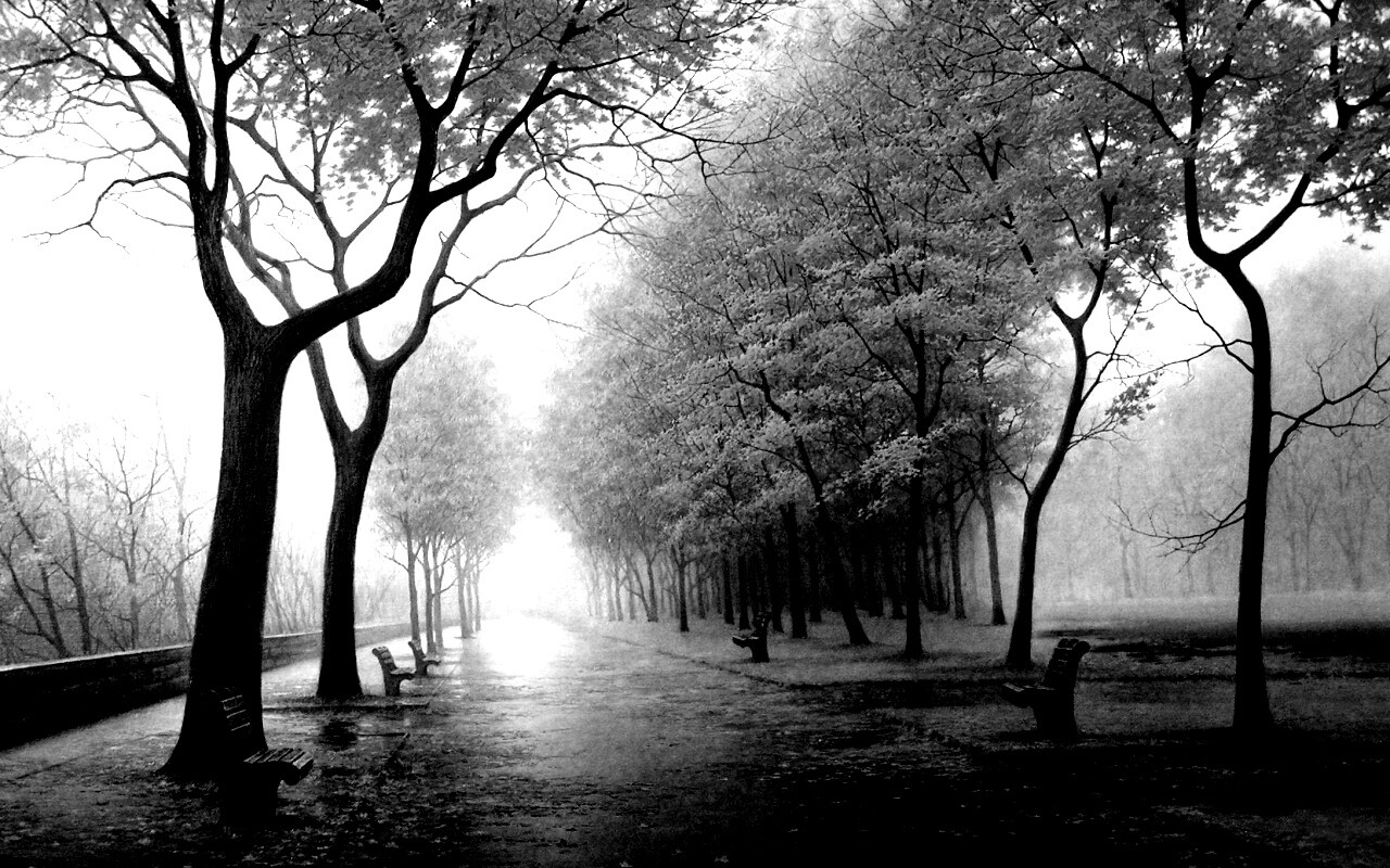 Дорога в осень обои