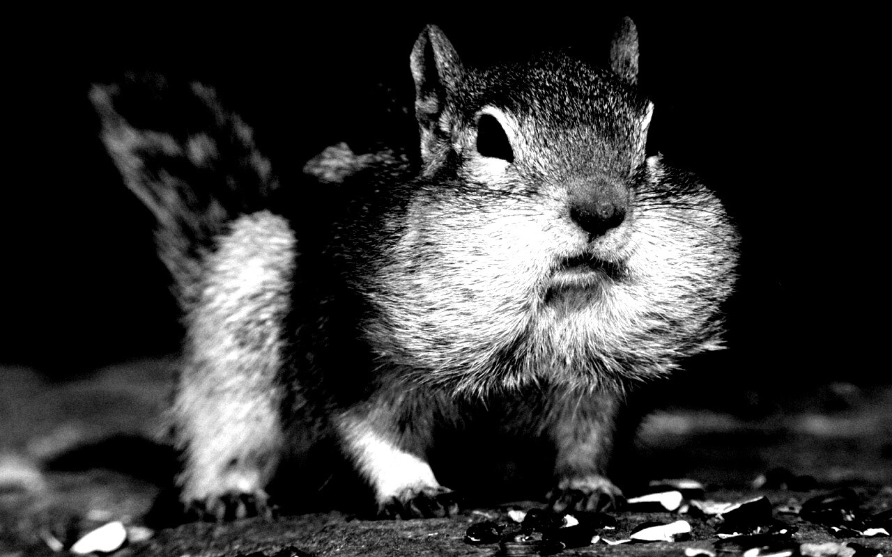 Не жадный, а бережливый обои