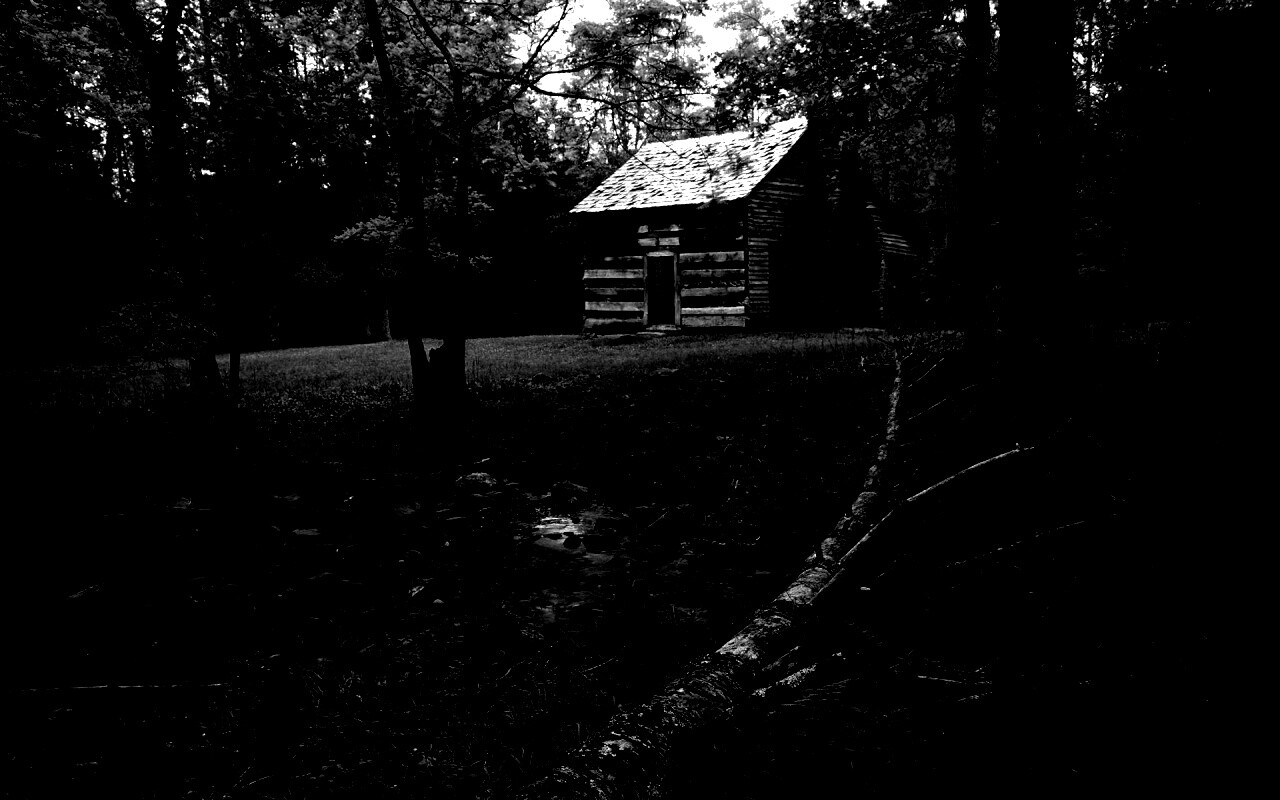 Домик в лесу обои