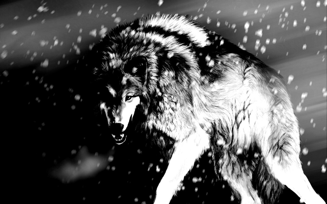 Охота на волка обои