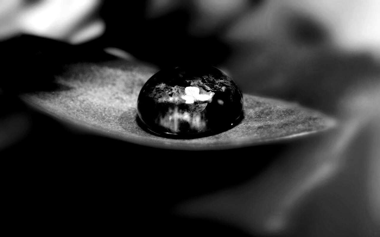 Целый мир в капле воды обои