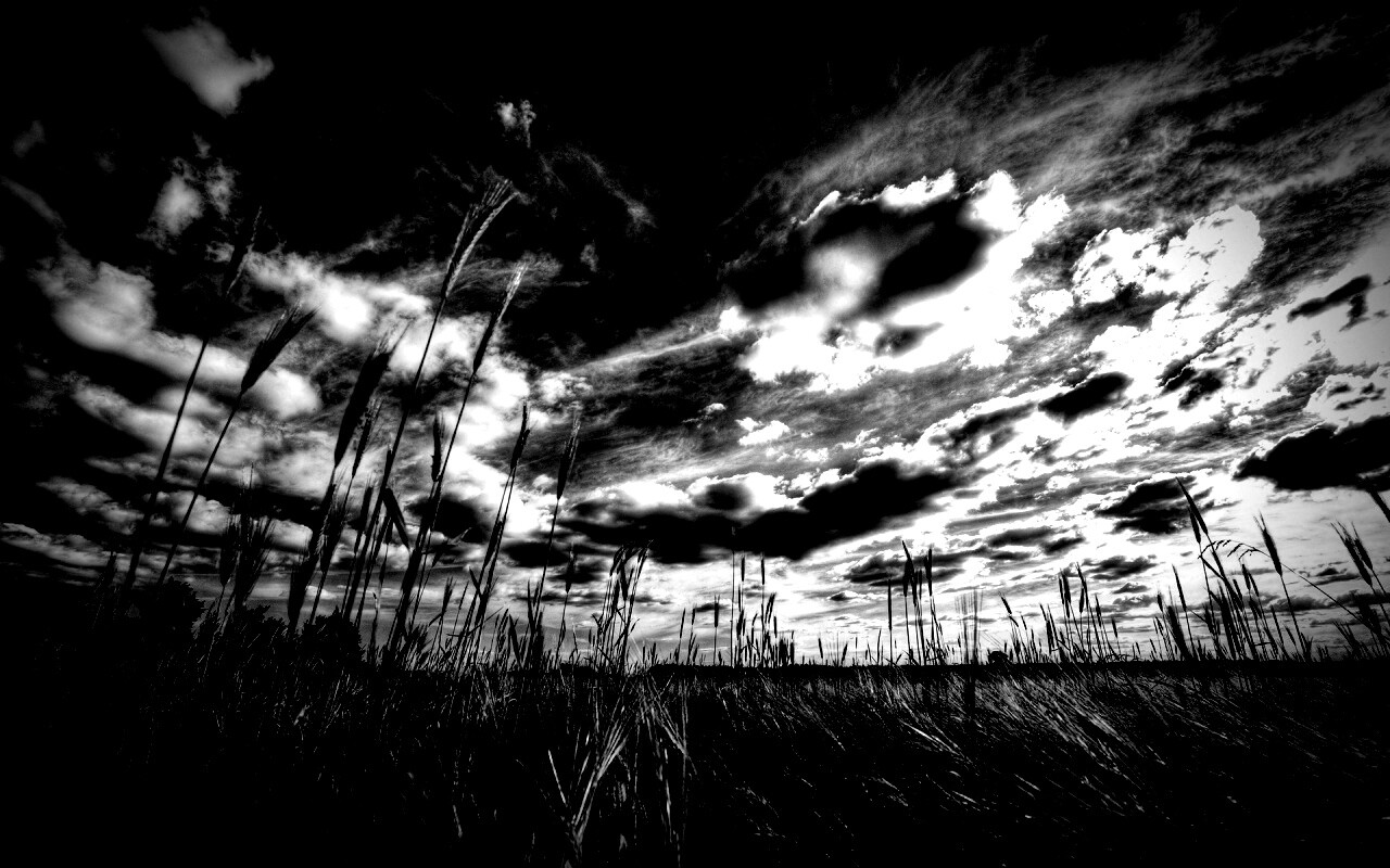 HDR Поле обои