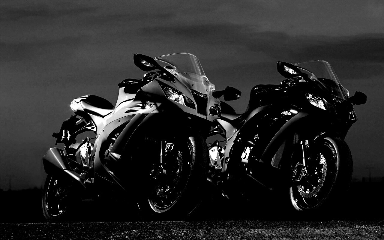 Два Кавасаки обои