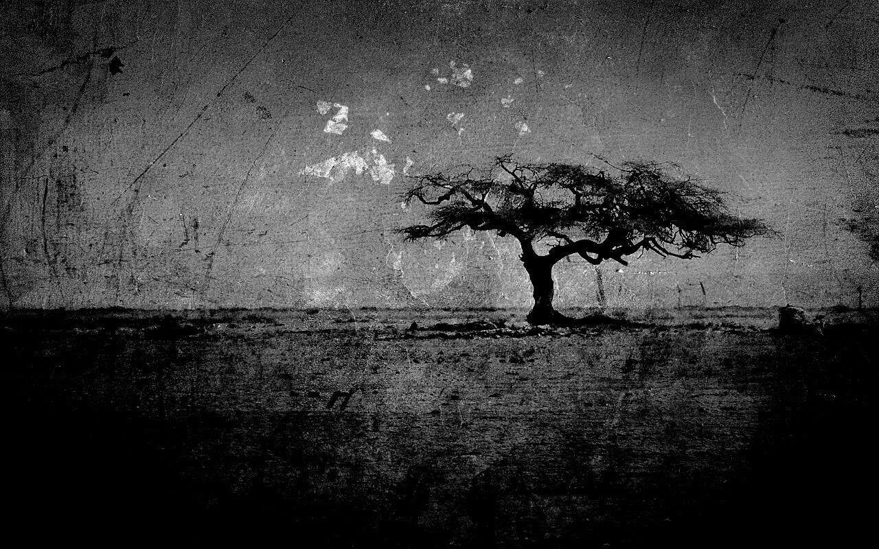 Гранжевое дерево в саванне обои