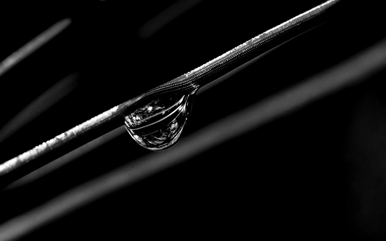 Капелька воды на стебле обои