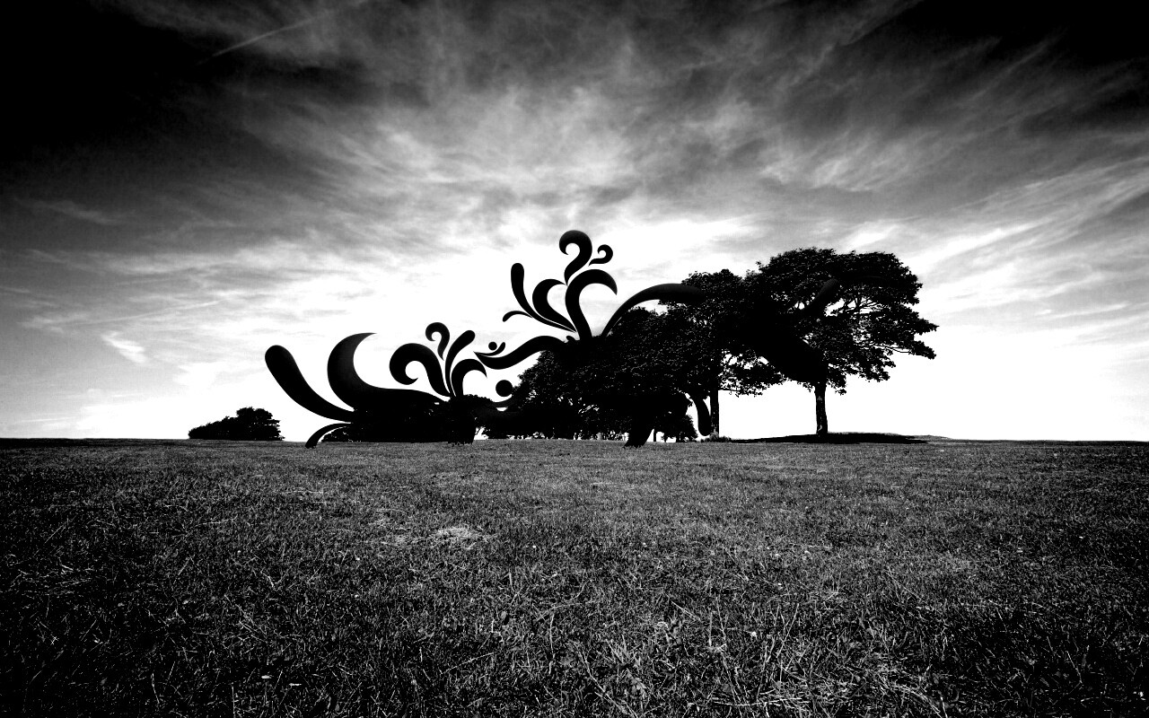 На равнине обои