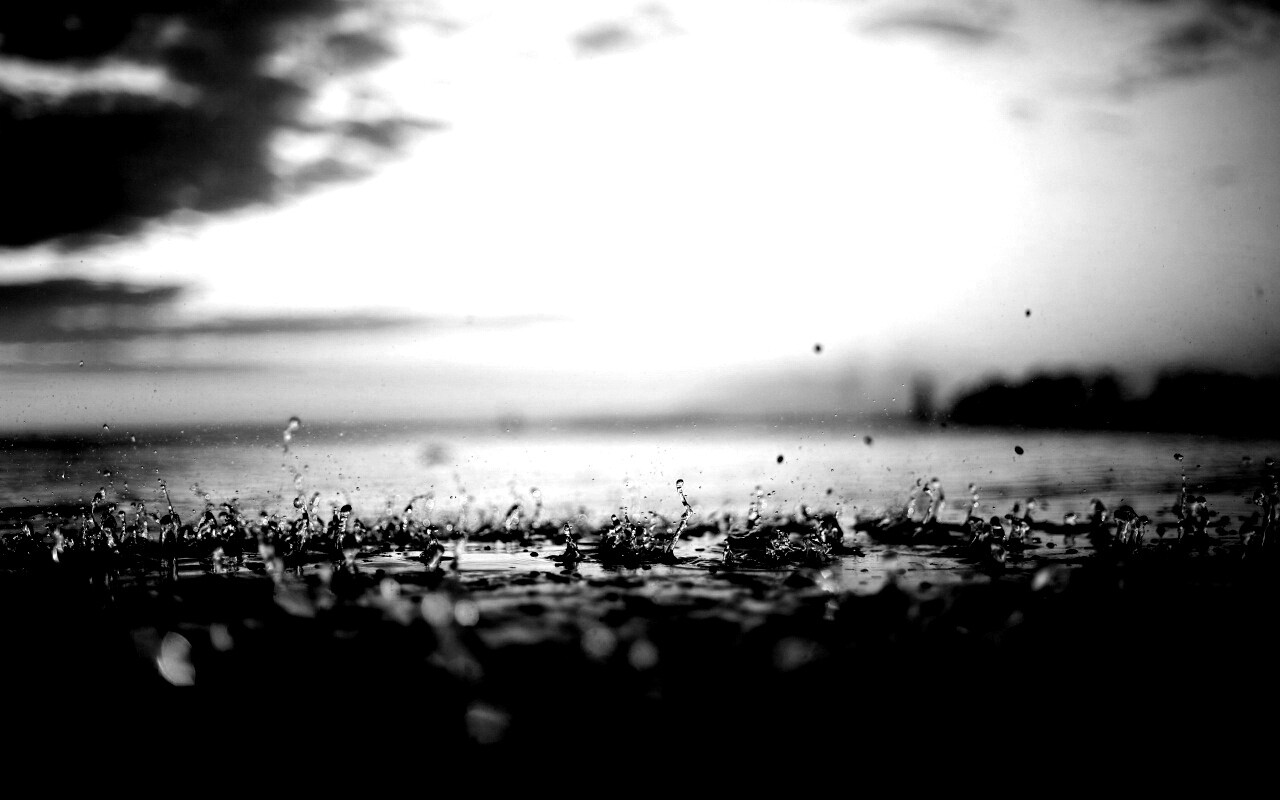 Дождь в макро обои