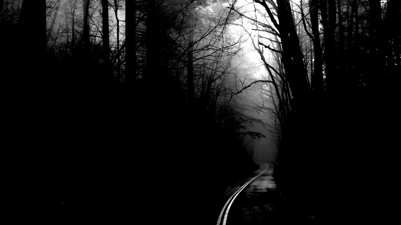 В туман обои