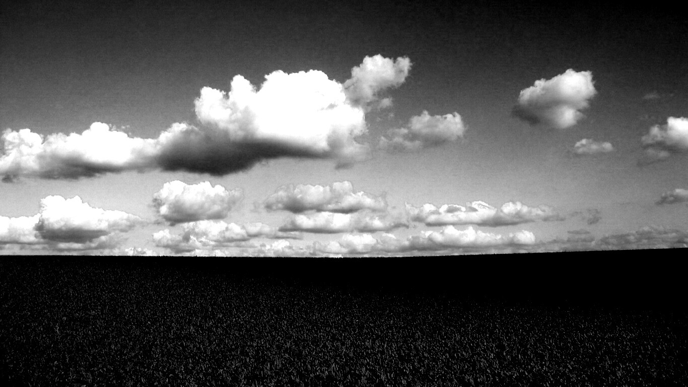 Обака над бескрайними полями обои