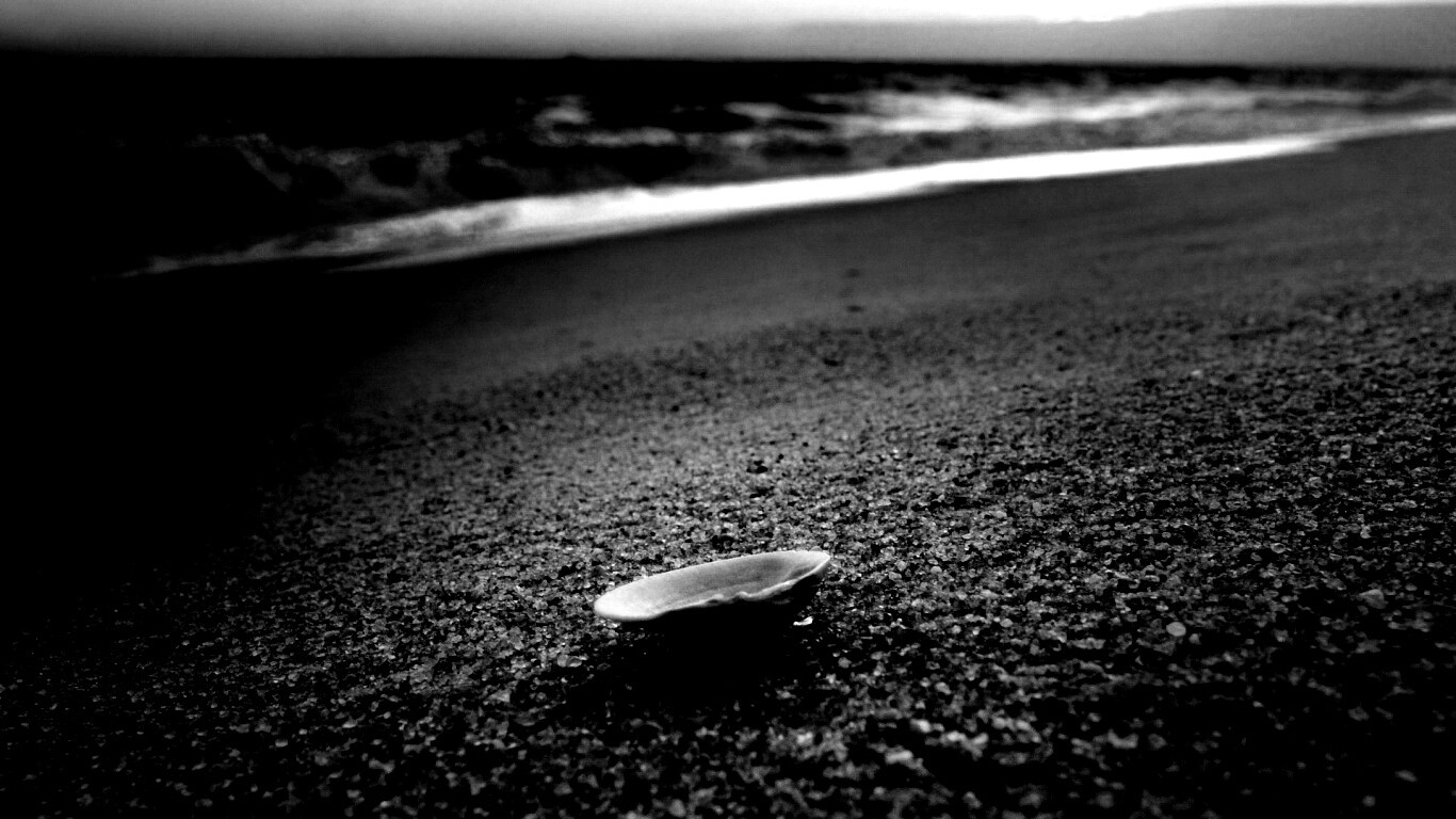 Ракушка не песчанном берегу обои