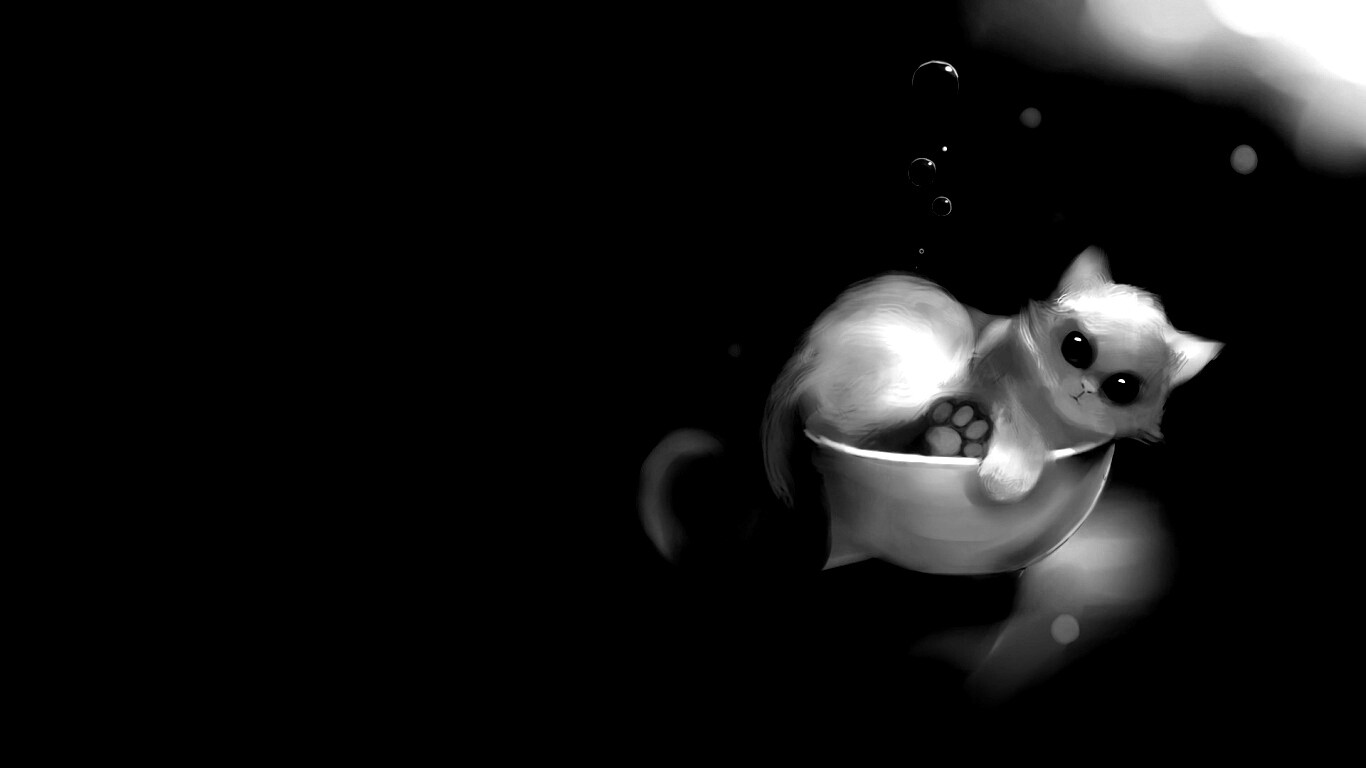 Котёнок в миске обои