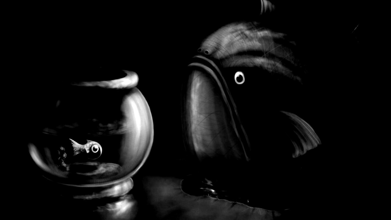Большая и маленькая рыбки обои