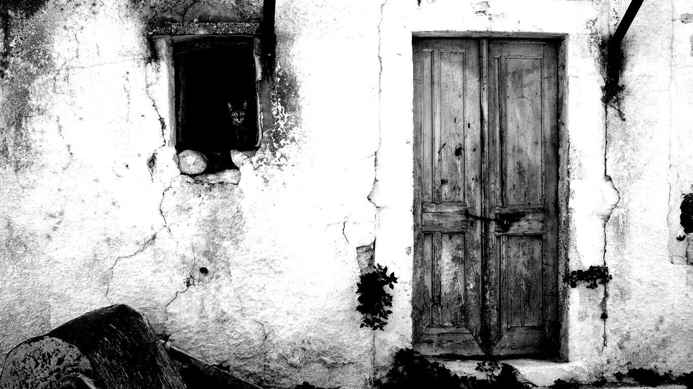 Кот выглядывает из разрушенного дома обои