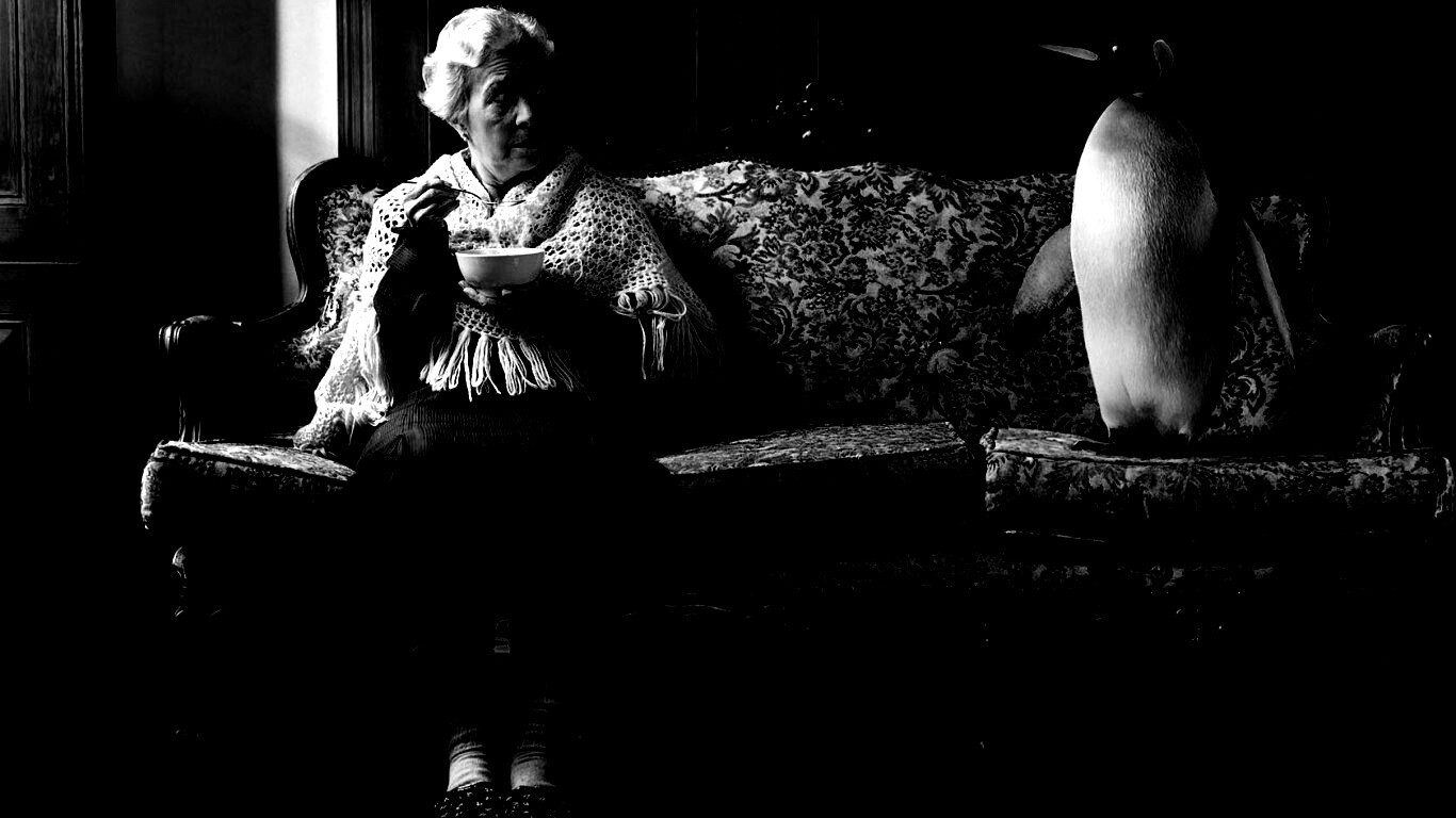 Соседи по дивану обои