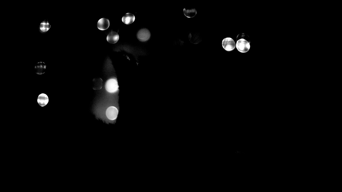 Силуэт черного кота обои