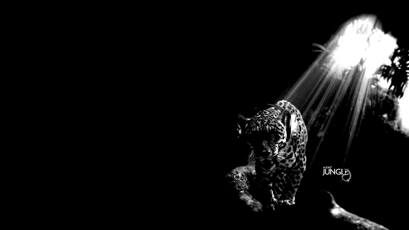 Ягуар в наушниках обои