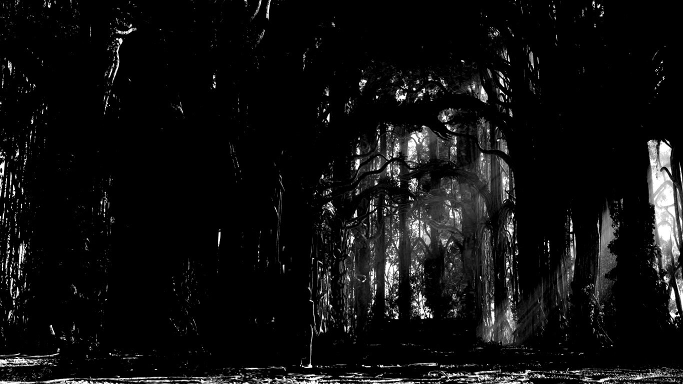 Одна в сумеречном лесу обои