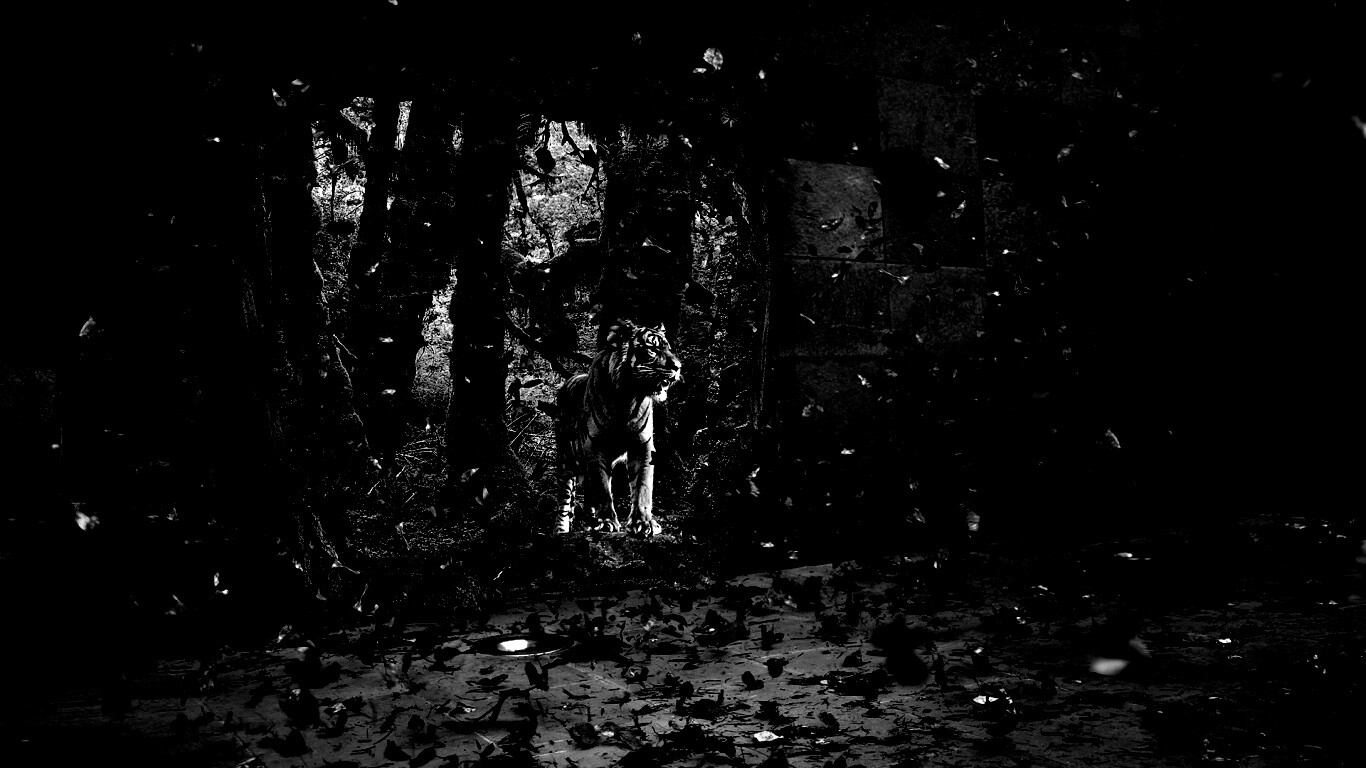 Портал в джунги обои