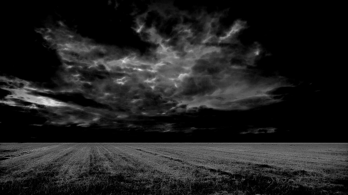 Тучи над желтым полем обои