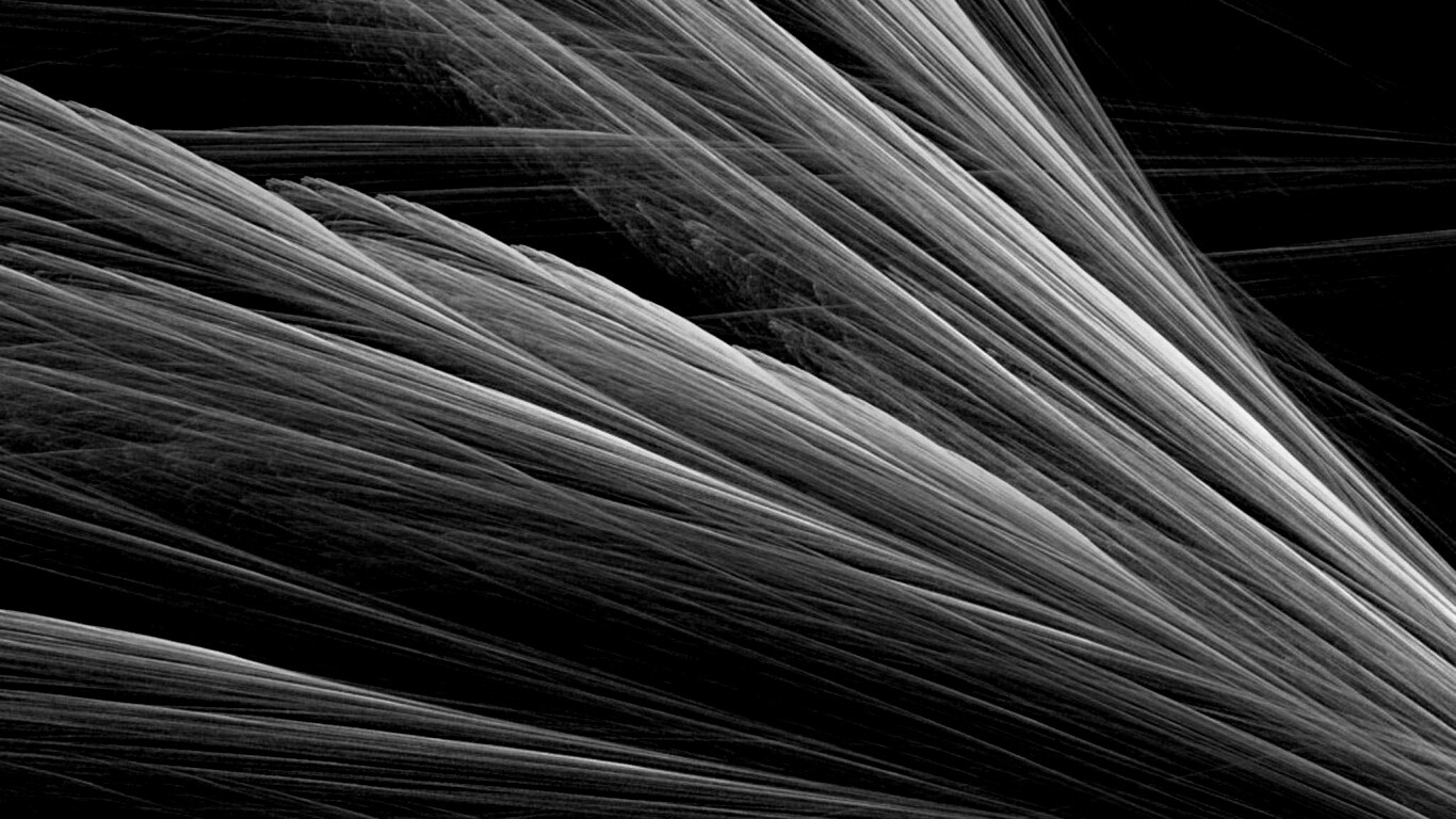 Прозрачные зеленоватые крылья обои