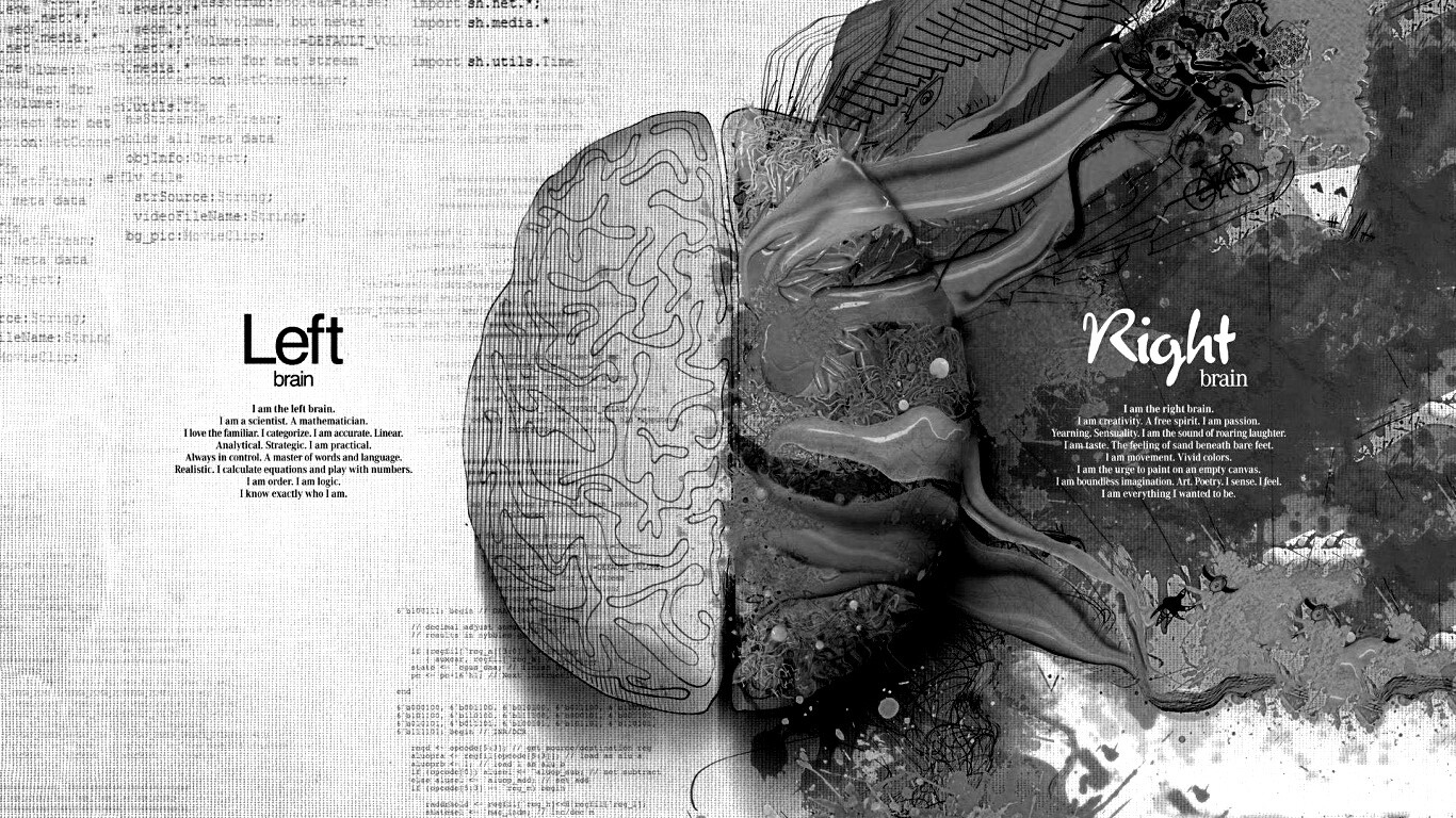 Различия левого и правого полушария обои