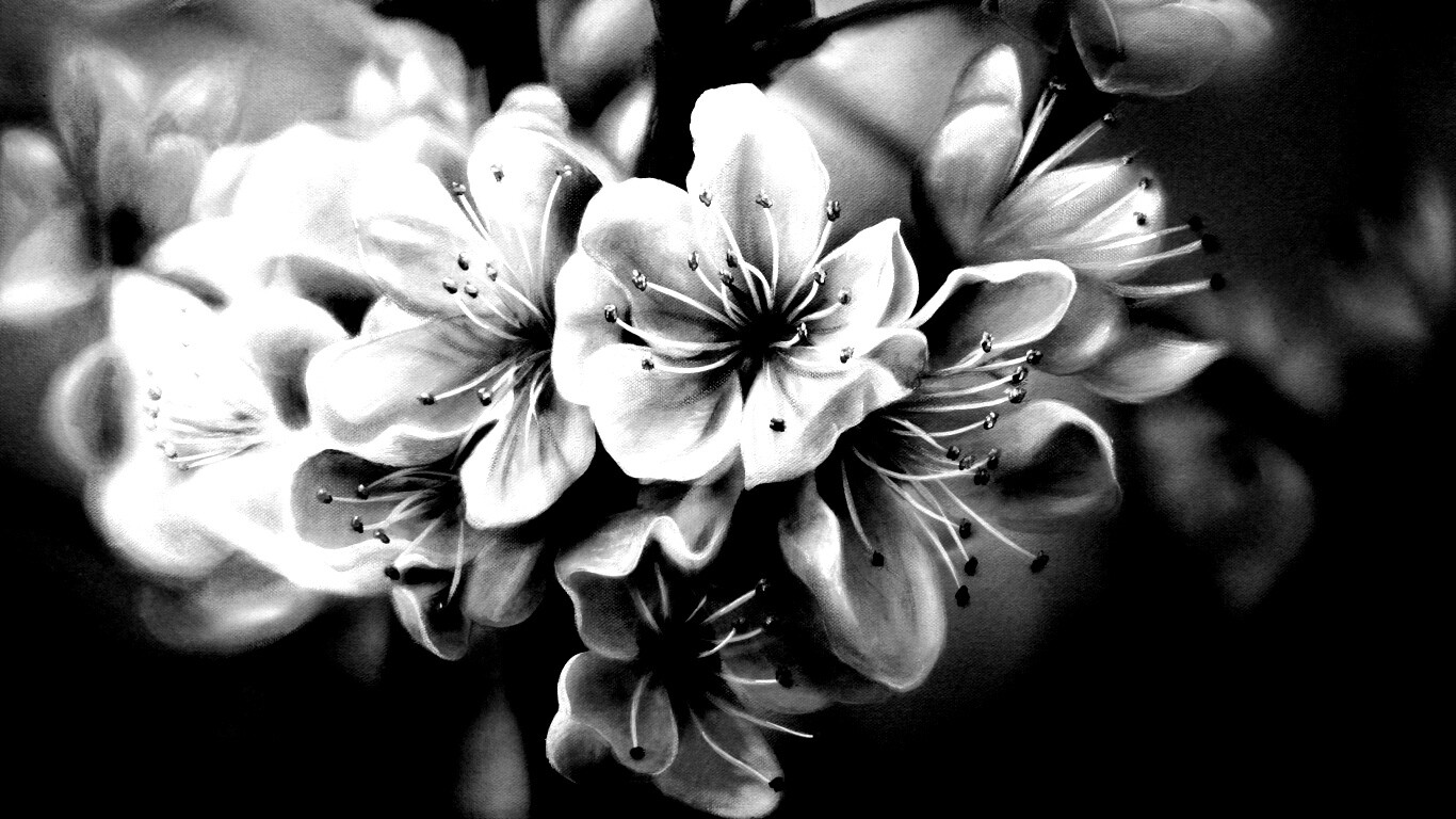 Яблоня в цвету картина обои