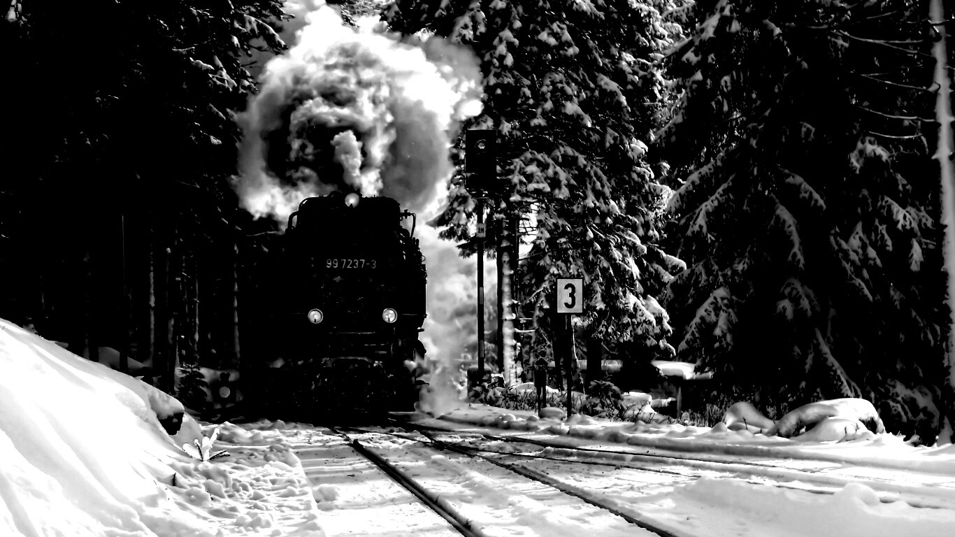 Паровоз в димнем лесу обои