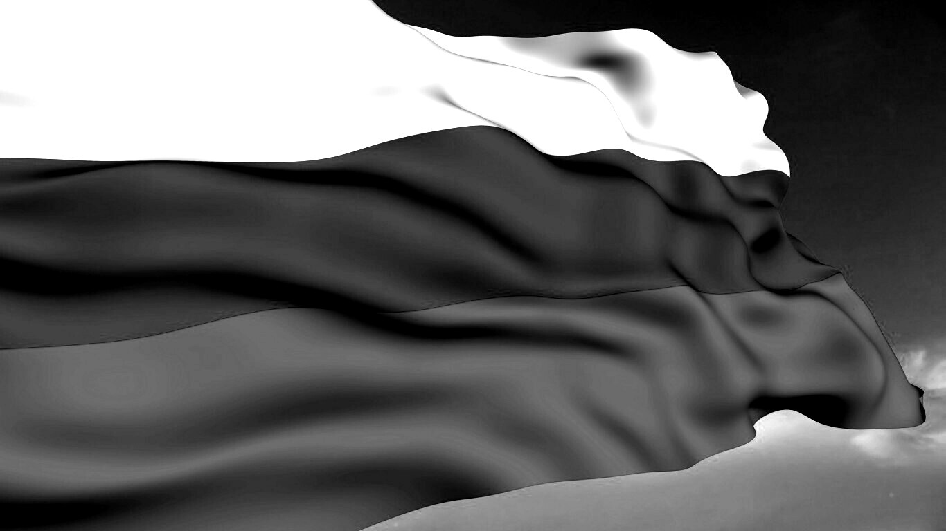 Флаг России обои