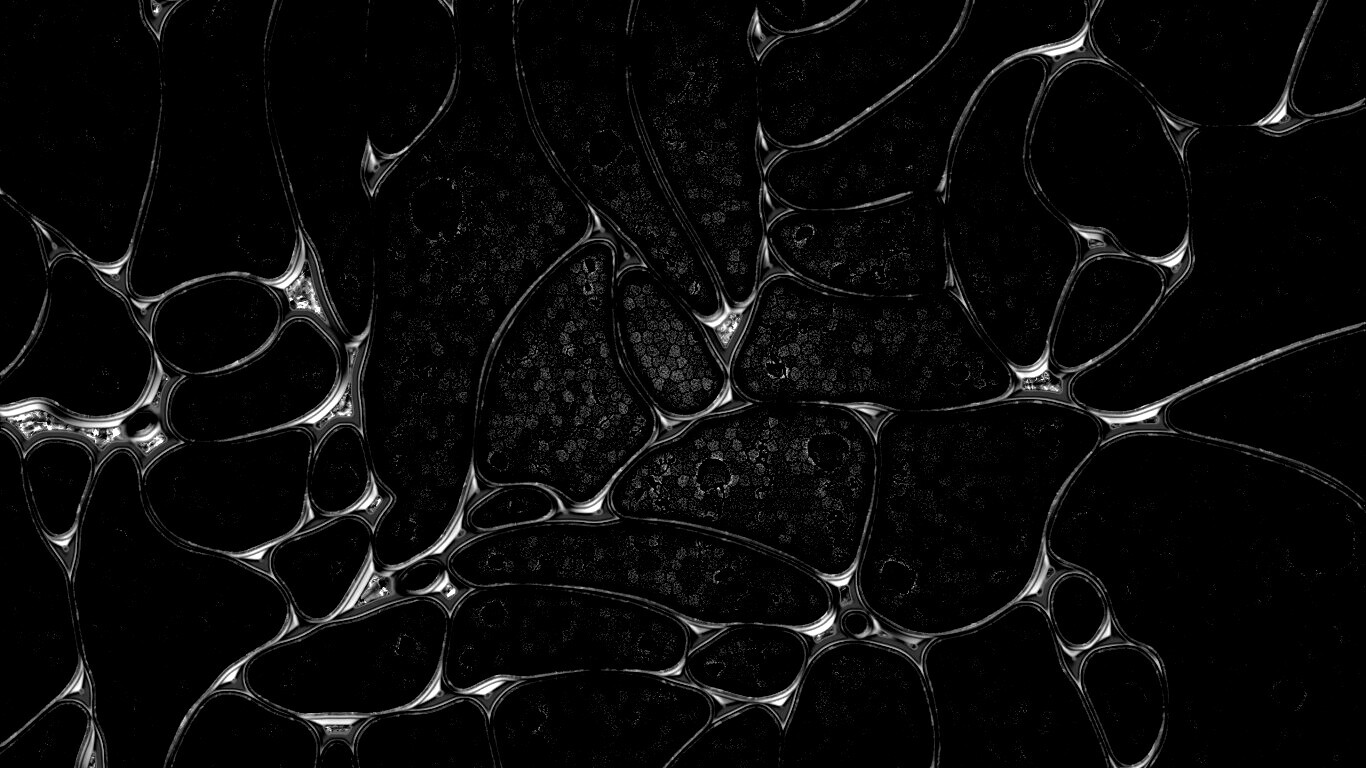 Абстрактные обои обои