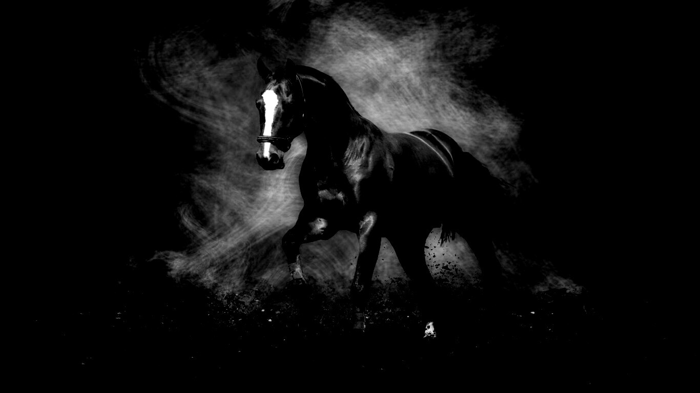 Лошадь обои