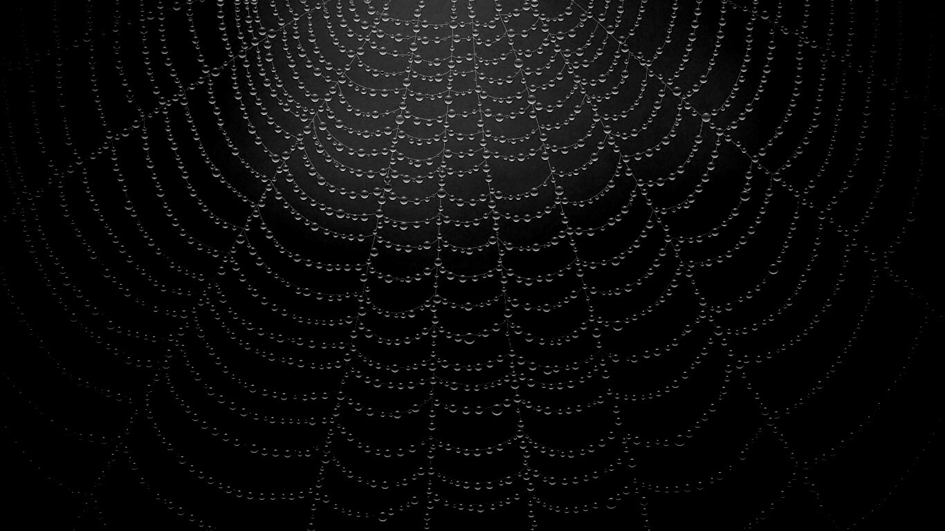Роса на паутине обои
